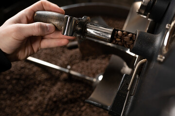 Kaffee Probenzieher wird aus Kaffeeröster gezogen und die Bohnen kontrolliert