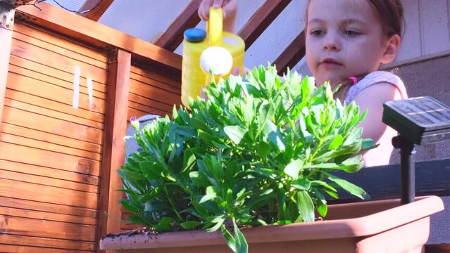 Backyard playground kids play house cubby. Little girl watering flowers in window box on pink playhouse.