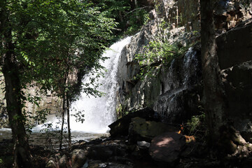 waterfall in the forest