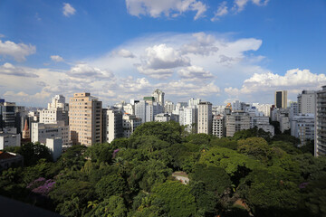 Vista exuberante da copa das árvores do Parque Buenos Aires, com o skyline deslumbrante da cidade de São Paulo ao fundo, em um dia de céu azul e nuvens brancas adornando a paisagem.