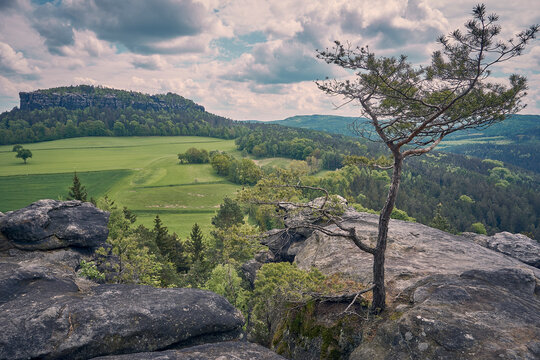 Quirl S&auml;chsische Schweiz Aussicht auf Pfaffenstein