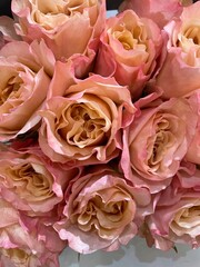 A bouquet of pink roses 