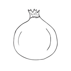 Vector hand drawn doodle sketch pomegranate isolated on white background