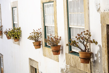 balcony with flowers and windows