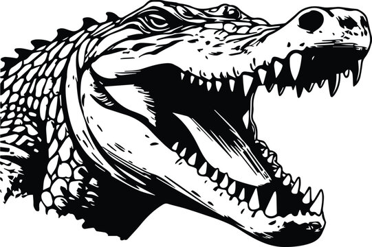 Crocodile Logo Images Browse 10 134 Stock Photos Vectors and