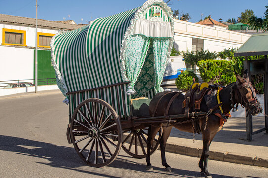 Typical Andalusian horse-drawn carriage.