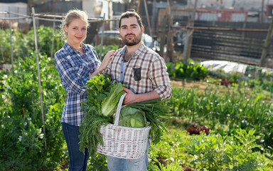 Portrait of male and female workers holding harvest of vegetables at farm