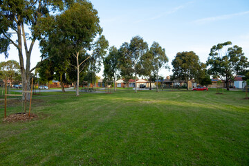 Background texture of a vacant grass lawn lot with some Australian gum trees Eucalyptus and suburban homes at the back. Public ground in a local park of a residential neighourhood.