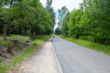 Young woman pilgrim walking on a trail of the way of saint james. Camino de Santiago