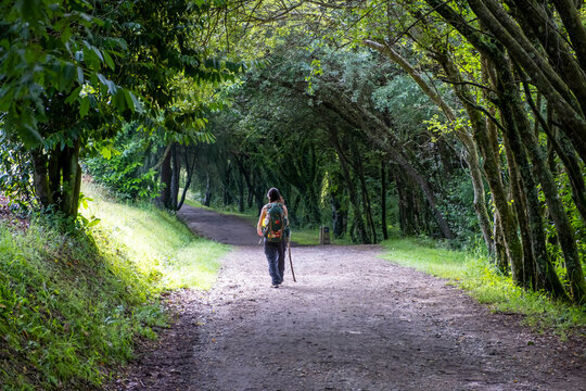 Young woman pilgrim walking on a trail of the way of saint james. Camino de Santiago