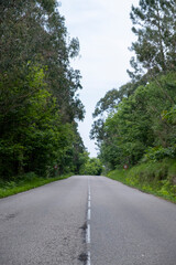 Country road on the Camino del Norte, Asturias, Northern Spain