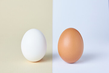 A white egg and another brown egg