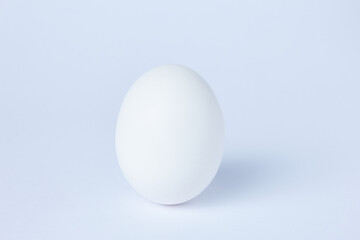 A white egg on a white background
