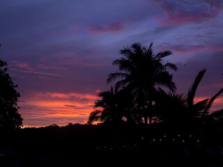 SILHOUETTE: Dramatic colors of clouds at twilight over a tropical palm tree