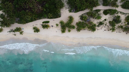 Playa Rincon, Samana, the beach in Dominican Republic. Aerial drone photo.