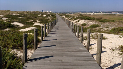 Fototapeta na wymiar Sand dunes and Beach in Esmoriz, Ovar - Portugal