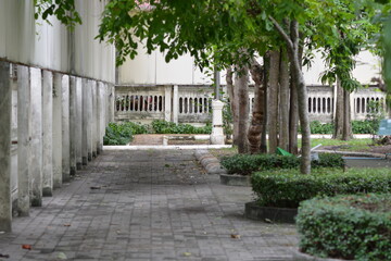 walkway in the park