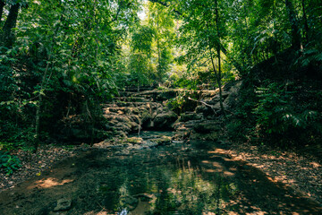 Fototapeta premium Beautiful landscape of Agua Azul cascades park in Palenque, Mexico.