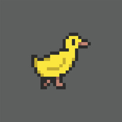 Obraz premium this is Duck in pixel art with colorful color and black background ,this item good for presentations,stickers, icons, t shirt design,game asset,logo and your project.