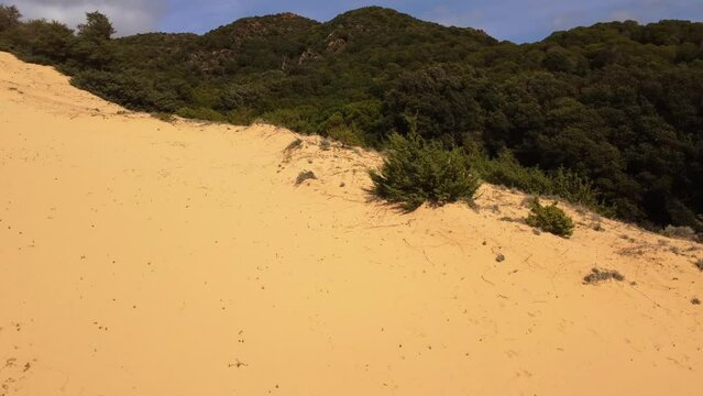 Aerial drone flying low above bright golden yellow sand dunes, Sardinia