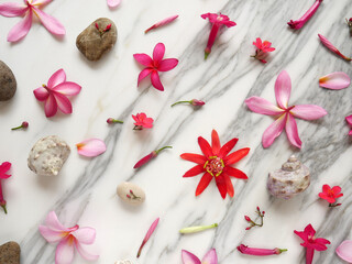Banner or wallpaper with spa flowers, zen stones, shells isolated on a white marble.