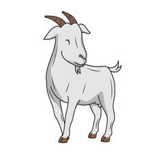 Fototapeta na wymiar illustration of goat in white backgrund for eid al adha mubarak.