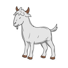 illustration of goat in white backgrund for eid al adha mubarak.
