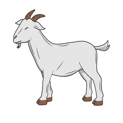 illustration of goat in white backgrund for eid al adha mubarak.