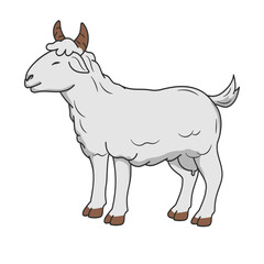illustration of goat in white backgrund for eid al adha mubarak.