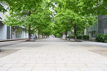 Foto auf Acrylglas Straße im Wald alley in the city park