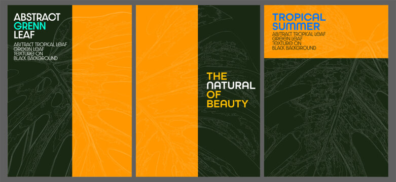 multi-page botanical layout template with copy space for text vector illustration. Modern design templates for sale, posters, covers, cards, social media