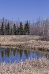 Pylypow Wetlands in the Spring