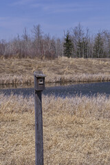 Pylypow Wetlands in the Spring