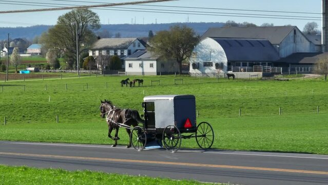 Amish horse and buggy on rural road with farm, horses, and grass in background. Drone tracking shot with long aerial zoom lens.