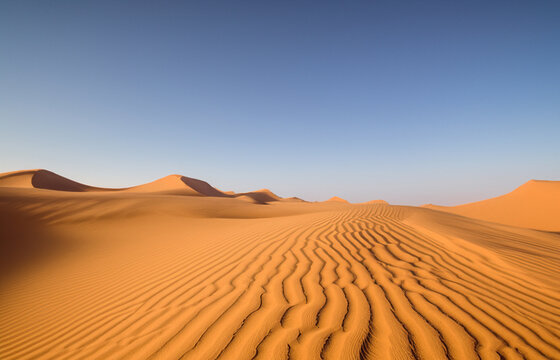 Beautiful sand dunes in the desert © Roberto Sorin
