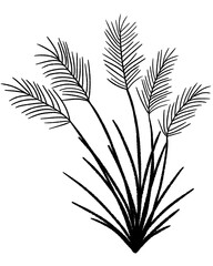 Japanese pampas grass clipart silhouette PNG