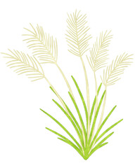 Japanese pampas grass clipart PNG