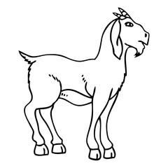 goat sketch vector illustration