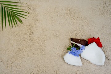 Coconut and flower on sand beach.