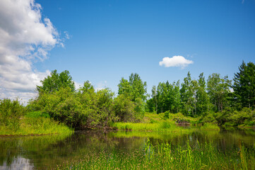 Blue water in a forest lake with trees. View of the lake and forest.
