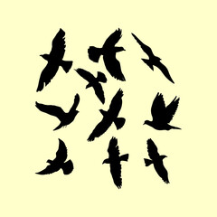 Fototapeta na wymiar silhouettes of birds. dove flying silhouette illustration design
