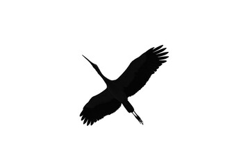 Silhouette of a Stork in Flight Against White Sky