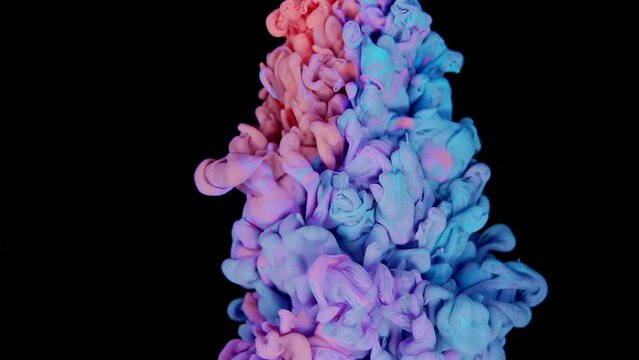 Abstract Fluidity: Dynamic Interaction of Pink and Lilac Blue Ink Drops Creating Mesmerizing Visuals in Slow Motion