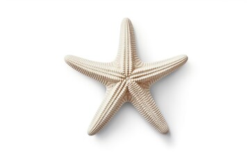 small white starfish sea star isolated