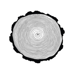 Log cut, vector illustration. Tree rings pattern, shades of gray.