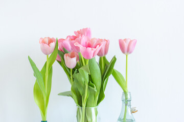 Pink tulips bouquet in glass vase on white background copy space