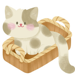 Cat basket