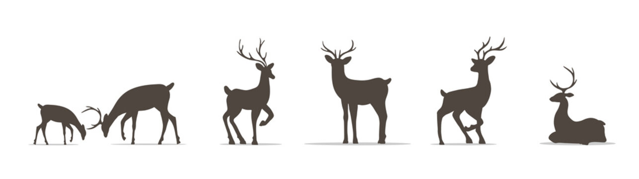 Set of deer silhouettes. Wild animals with antlers on white background. Vector flat illustration.