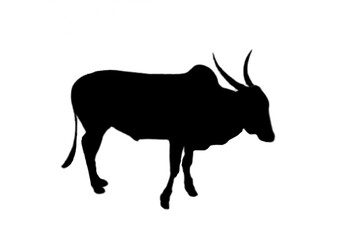 silhouette of a deer and ilustration cow icon animal