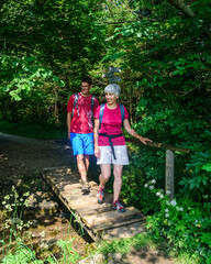 Zwei Wanderer unterwegs im schattigen Wald